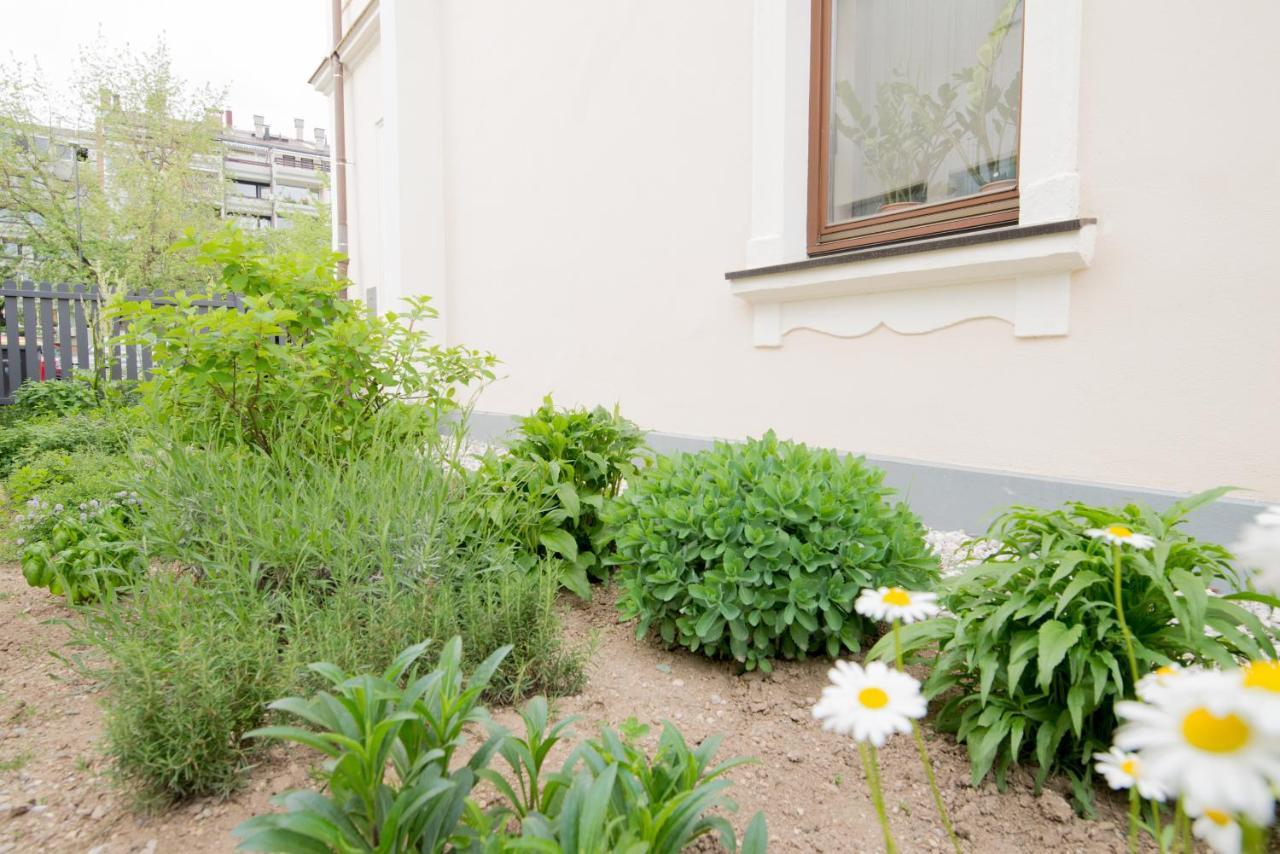 Pod Vrbo * Ljubljana